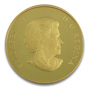 300 Dollar Gold Coin